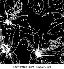 Patrón floral blanco y negro sin soldadura. Motif vectorial gráfico botánico. Textura Floreciente Para Las Impresiones De Moda. Contorno de la superficie de las flores de lirio. Fondo de estilo. Dibujo Elegante Dibujo Ilustrado.