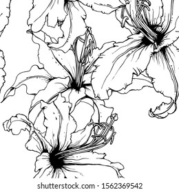 Floral Black and White Seamless Pattern. Graphic Botanical Vector Motif. Blooming Texture For Fashion Prints. Outline Lily Flowers Surface. Art Ornament. Elegant Sketches Drawing Illustrated.