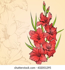 floral blooming gladiolus hand drawn vector illustration sketch. Group of flowers. Floral background with gladiolus isolated on background.