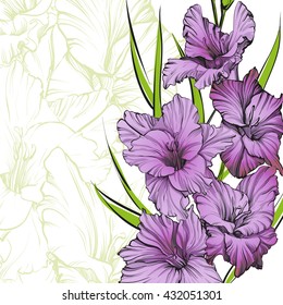 floral blooming gladiolus hand drawn vector illustration sketch. Group of flowers. Floral background with gladiolus isolated on white background.