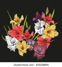 floral blooming gladiolus hand drawn vector illustration sketch