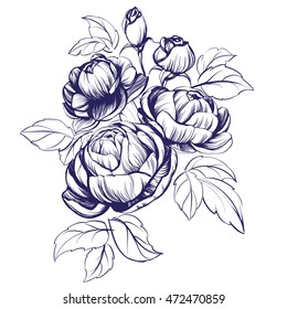 floral blooming rose branch vector illustration sketch