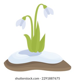 Floral blossom icon cartoon vector. Snowdrop flower. Petal flora