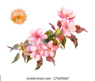 Floral blossom - pink flowers for fashion design. Watercolor vector
