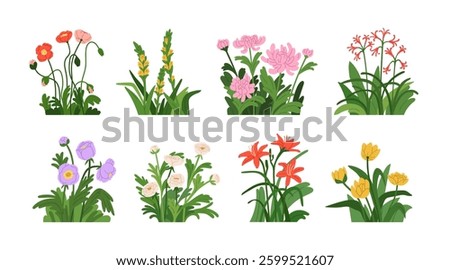 Floral blossoms set. Beautiful spring flowers, summer blooming plants with leaves. Natural garden decoration, poppies, lilies, chrysanthemum. Flat vector illustration isolated on white background