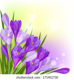 Floral border or background with purple crocuses.