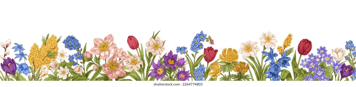 Floral border, background. Spring gentle flowers, decorative edge in vintage style. Botanical banner with blooming blossomed wildflowers, field plants. Vector illustration isolated on white background