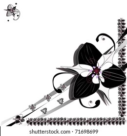 floral border and background vector illustration
