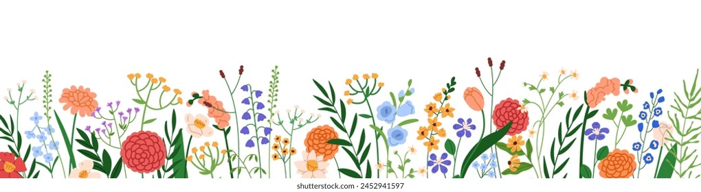 Floral border decoration. Meadow wildflower, horizontal decor. Blossomed field flowers, delicate blooms, branches. Botanical natural banner. Flat vector illustration isolated on white background