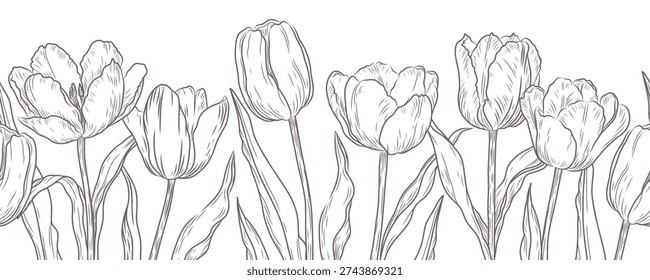 Floral border of delicate tulips drawn in line art style. Vector horizontal seamless pattern of flowers and leaves. Black sketch flowers on a white background