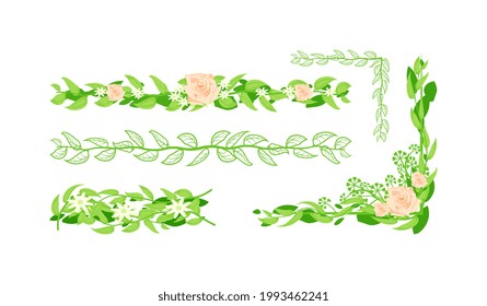 Floral border and divider set isolated on white background