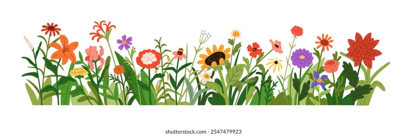 Borde floral con flores de campo. Diseño botánico, decoración Horizontal. Flores, hojas, naturaleza de verano. Mezcla de flores silvestres de prado, decoración. Ilustración vectorial plana aislada sobre fondo blanco