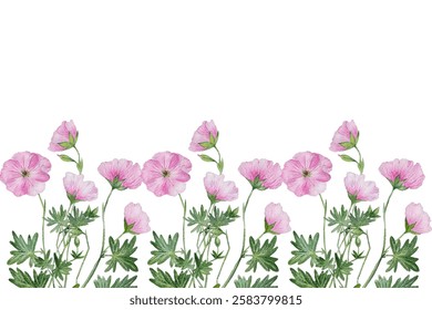 Floral border frame background card template. Vector design illustration. for banner, wedding card.