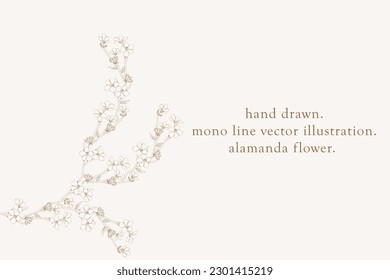 Plantilla de tarjeta de marco de borde floral. 
fondo plano. 
flores de alamanda. Ilustración de diseño de vectores.