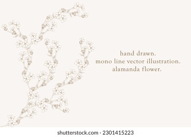 Blumenrahmen-Kartenvorlage. 
flacher Hintergrund. 
Alamanda blüht. Vektordesign-Illustration.