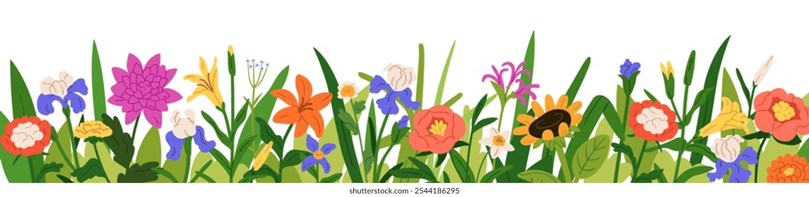 Floral border with gentle flowers in summer field. Botanical decoration, blossoms in garden, nature. Blooming meadow, wildflowers and grass. Flat vector illustration isolated on white background