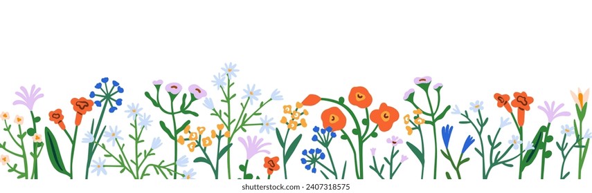 Floral border, horizontal botanical decoration. Spring field and meadow flowers, natural decor, panorama. Fragile delicate banner, wildflowers. Flat vector illustration isolated on white background