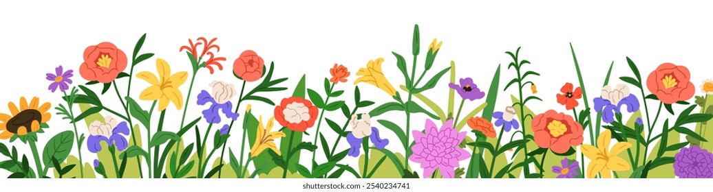 Floral border, meadow flowers and grass. Blooming plants, wildflowers. Field blossoms, horizontal botanical decoration. Natural summer panorama. flat vector illustration isolated on white background