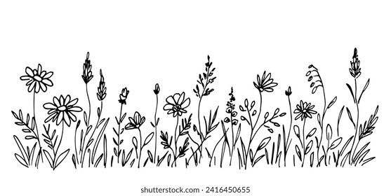 Floral border, meadow grass, wild flowers, lawn, field plants. Nature and vegetation, herbs. Hand drawn vector drawing with black outline, ink sketch.