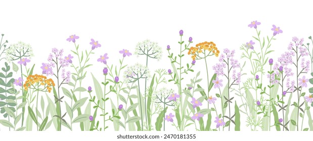 Floral border with meadow wildflowers and herbs. Seamless horizontal pattern with nature elements. Summer and Spring natural background. Botanical flat vector illustration on white background