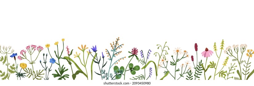 Floral border with spring wild flowers. Botanical banner with herbal plants, blooms for decoration. Delicate field and meadow wildflowers. Colored flat vector illustration isolated on white background