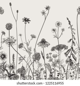 Floral border. Summer flowers. Vector illustration. Black and white
