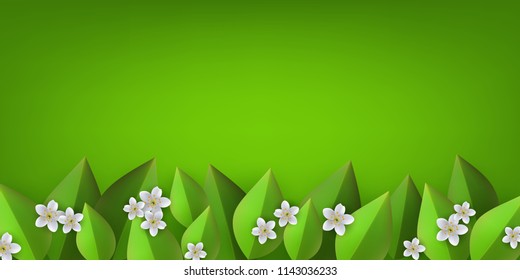 Floral border with white apple or cherry blossoms on green leaves on transparent background - decorative frame with fresh seasonal flowers and greenery in vector illustration.