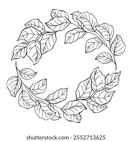 Fronteras y divisores florales. Elegantes marcos decorativos de plantas verdes y divisores ornamentales monograma para tarjeta de invitación de boda. Vector aislado icono sobre fondo blanco