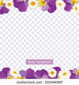 Floral borders on transparent background. Vector illustration. Pansies and chamomiles for your spring or summer design. 
