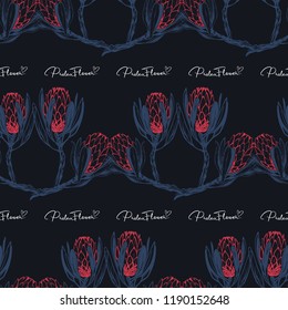 Floral borders pattern with protea flower sign and protea flower branch. Seamless background for fabric design. Cute and beautiful watercolor vector illustration on black backdrop.