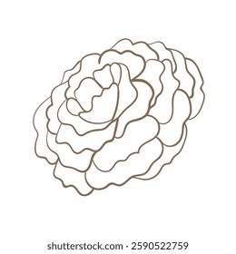 Floral botanical abstract flower line art doodle. Outline design elements isolated on background, vector illustration