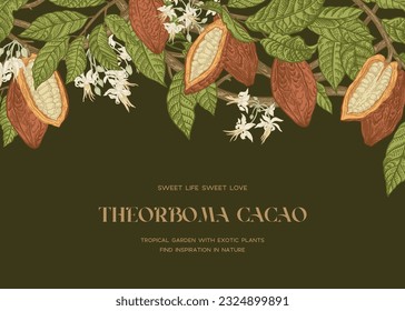 Floral botanical card with cocoa plant. Fruits, flowers, leaves on a dark background.