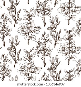 Floral or Botanical Christmas  seamless pattern of eucalyptus, blackthorn, mistletoe. Winter plants design illustration for greetings, invitation 