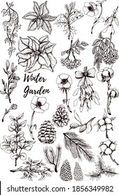 Floral or Botanical Christmas set of spruce branches, poinsettia, mistletoe, holly, rowan, blackthorn, cones, eucalyptus, cotton. Winter plants design illustration for greetings, invitation 
