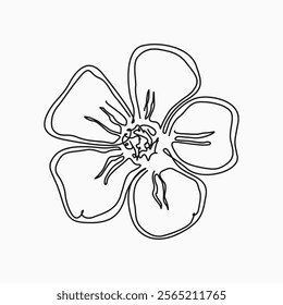 Floral botanical design element. Floral line art design asset