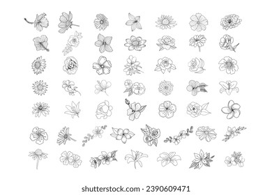 Floral botanical design vector collection