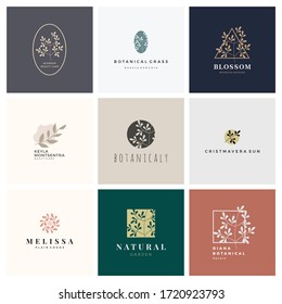 Colección de conjunto de logotipos florales y botánicos para mujeres. Plantilla con logotipo de belleza para floristería, dibujado a mano, cosméticos orgánicos, insignias, emblemas, logotipos, boutique, spa, paquete florido