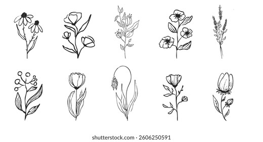 Floral botanical feminine wild flower summer line sketch drawing. Trendy minimal elements wedding herbs, minimalistic flowers with elegant leaves. Tiny tattoo, elegant rustic