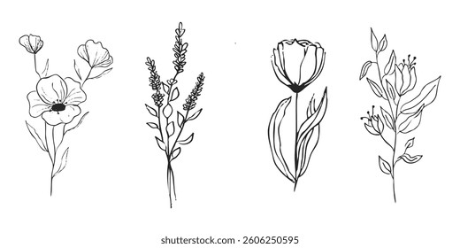 Floral botanical feminine wild flower summer line sketch drawing. Trendy minimal elements wedding herbs, minimalistic flowers with elegant leaves. Tiny tattoo, elegant rustic