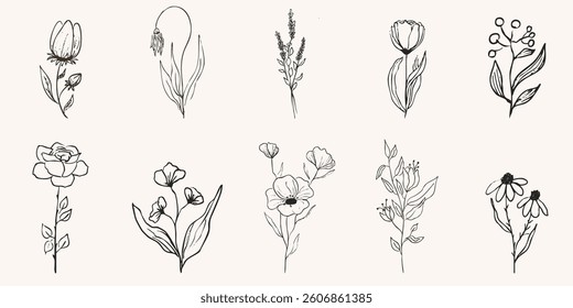 Floral botanical feminine wild flower summer line sketch drawing. Trendy minimal elements wedding herbs, minimalistic flowers with elegant leaves. Tiny tattoo, elegant rustic