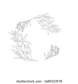 Floral botanical frame and monogram. Vintage border.