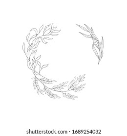 Floral botanical frame and monogram. Vintage border.