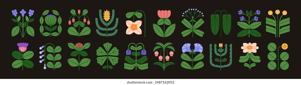 Floral botanical icons, elements set. Flowers, blooming plants, summer blossoms, leaf branches, wildflowers in whimsical shape. Decorative modern stylized garden flora. Flat vector illustrations