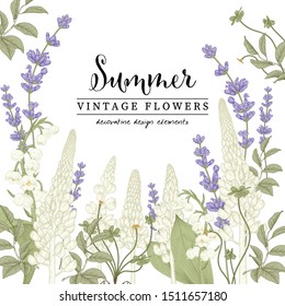 Floral Botanical Illustrations. Lavender and Lupine flower drawings.Natural line art on white backgrounds. Hand Drawn summer botany.Vector.