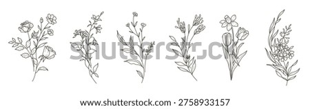 Floral botanical line art. Small hand drawn bouquets. Elegant elements of wild and garden plants, branches, leaves, flowers, herbs. Vector illustration for logo, tattoo, wedding invitation, save the date