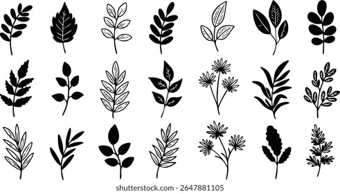 Floral Botanical Line Drawing Elements Pack