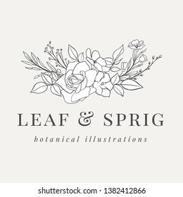 Floral Botanical Logo Illustration - Botanical logo design with hand drawn illustrations. The elements can be separated and rearranged or used individually.