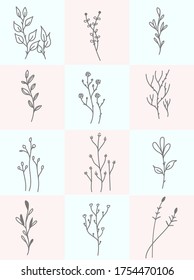 floral botany hand draw element vector