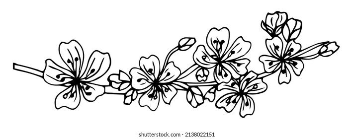Floral Botany Sketch Collection. Apple tree branch with floral patterns. Hand-drawn botanical illustrations. 