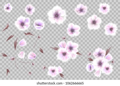 Floral bouquet design element with elegant pink white anemone flowers, isolated on a white background. Can be used for wedding invitations, greeting cards. Hand drawn flowers, decor elements.